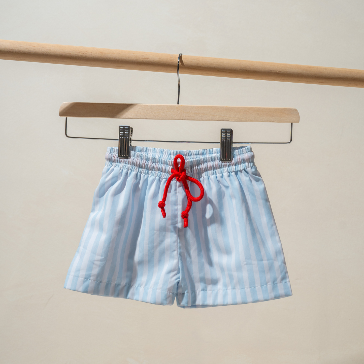 Len Swim Trunks in Blue Stripes