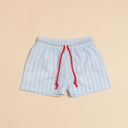 Len Swim Trunks in Blue Stripes